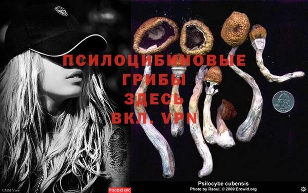 СК Козловка