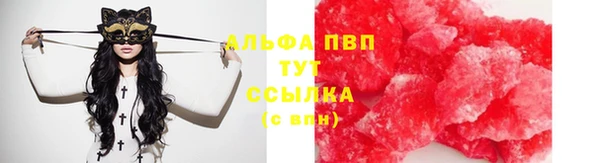 СК Козловка