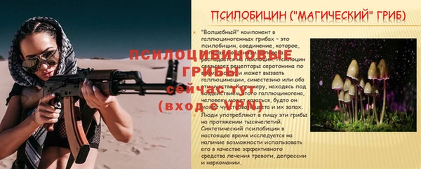 mdpv Козельск